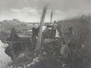 Peter Henry Emerson - During the Reed - Harvest, plate XXVIII from Life and Landscape on the Norfolk Broads, 1887