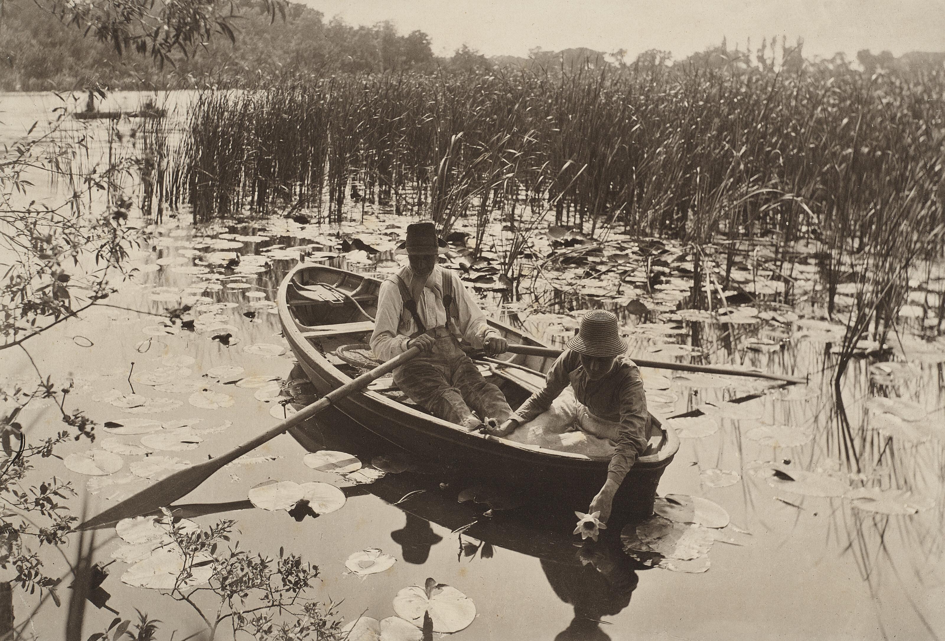 Peter Henry Emerson - Gathering Water Lilies, 1886
