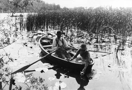 Peter Henry Emerson - Gathering Waterlilies