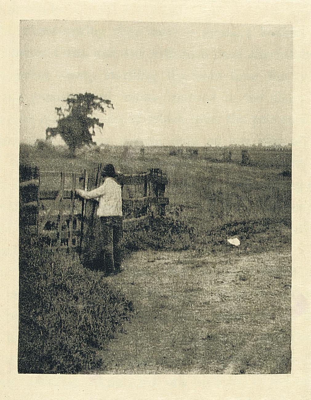 Peter Henry Emerson - Marsh Leaves. London: David Nutt, 1895.