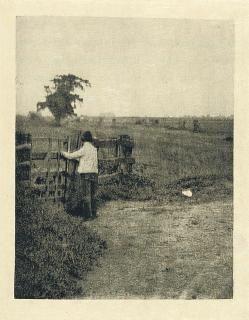 Peter Henry Emerson - Marsh Leaves. London: David Nutt, 1895.