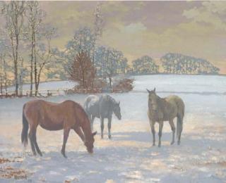 Peter Howell - Mares in the snow