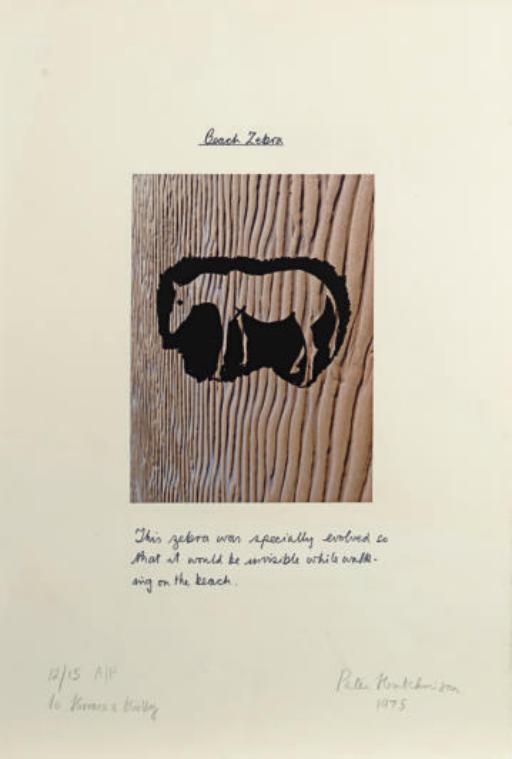 Peter Hutchinson - Beach Zebra