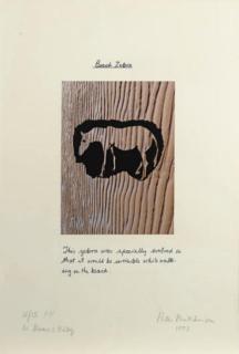 Peter Hutchinson - Beach Zebra