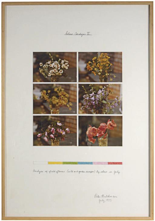 Peter Hutchinson - Colour Analysis Ii; And A Companion Work, Navajo Reservation, Desert Project