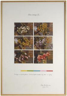 Peter Hutchinson - Colour Analysis Ii; And A Companion Work, Navajo Reservation, Desert Project