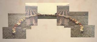 Peter Hutchinson - Horseshoe Piece, 1970