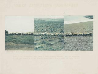 Peter Hutchinson - Three coinciding landscapes