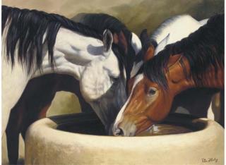 Peter J. Bailey - Water, Surprisingly Cool