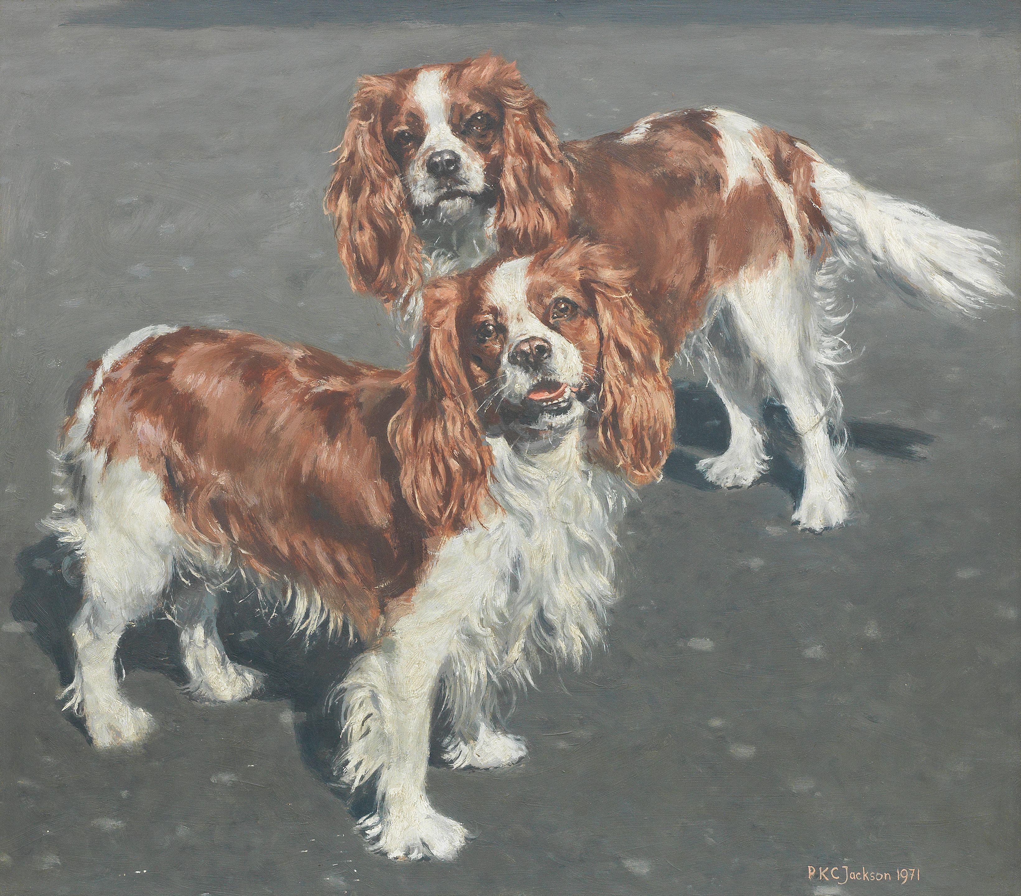 Peter Jackson - King Charles Spaniels