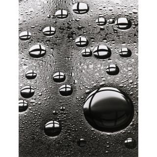 Peter Keetman - Camera Work Portfolio, 2001