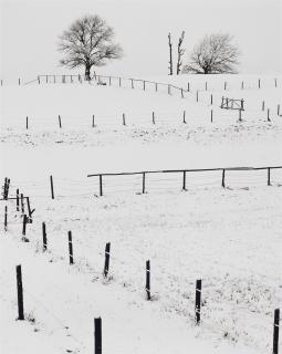 Peter Keetman - Ohne Titel