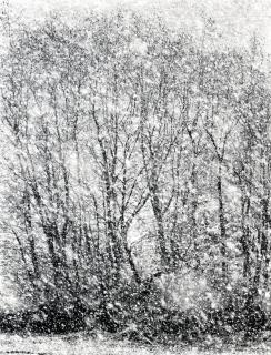 Peter Keetman - »Schneegestöber«