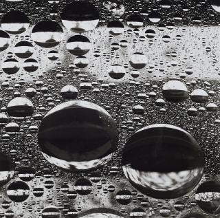Peter Keetman - Spiegelnde Tropfen
