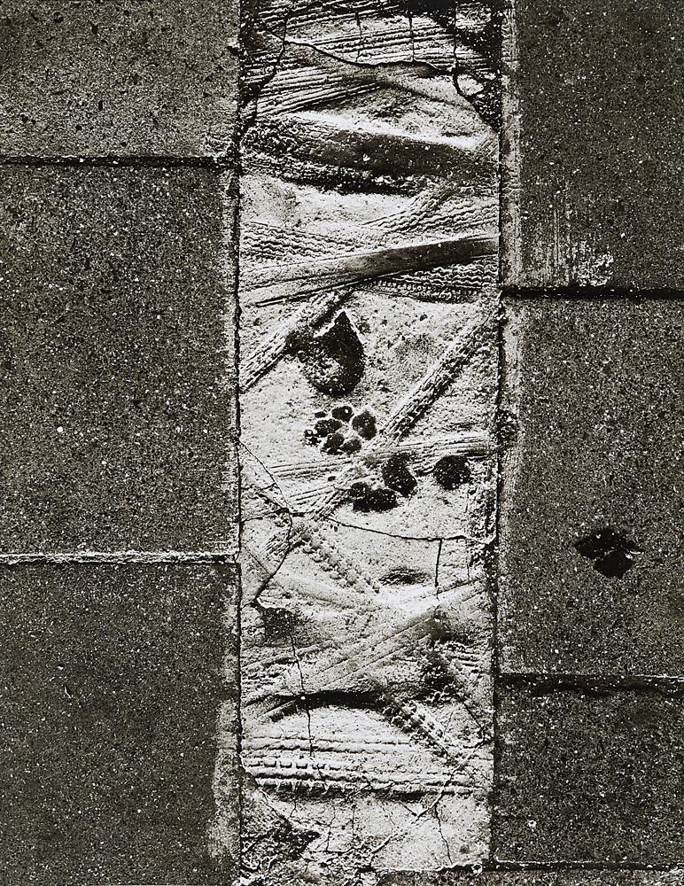 Peter Keetman - Strassenpflaster (in München-Schwabing).