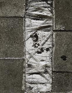 Peter Keetman - Strassenpflaster (in München-Schwabing).