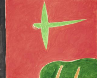 Peter Kinley - Parrot