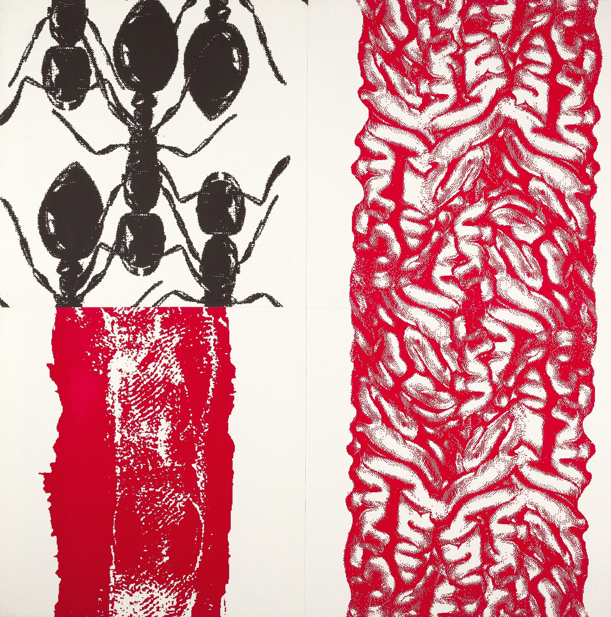 Peter Kogler - Ameisen