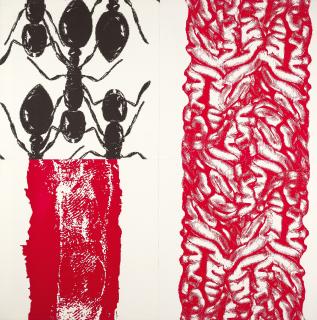 Peter Kogler - Ameisen