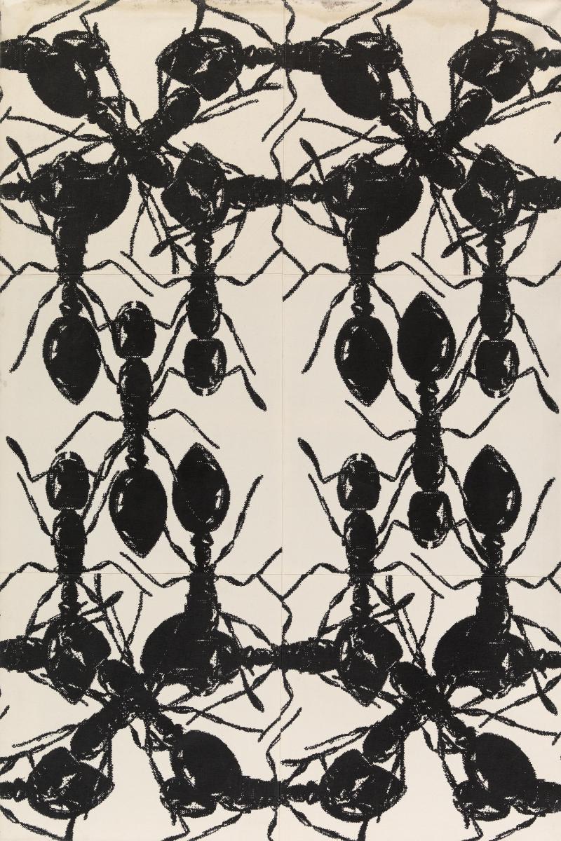 Peter Kogler - Ohne Titel (Ameisen)