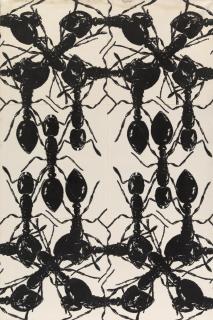 Peter Kogler - Ohne Titel (Ameisen)