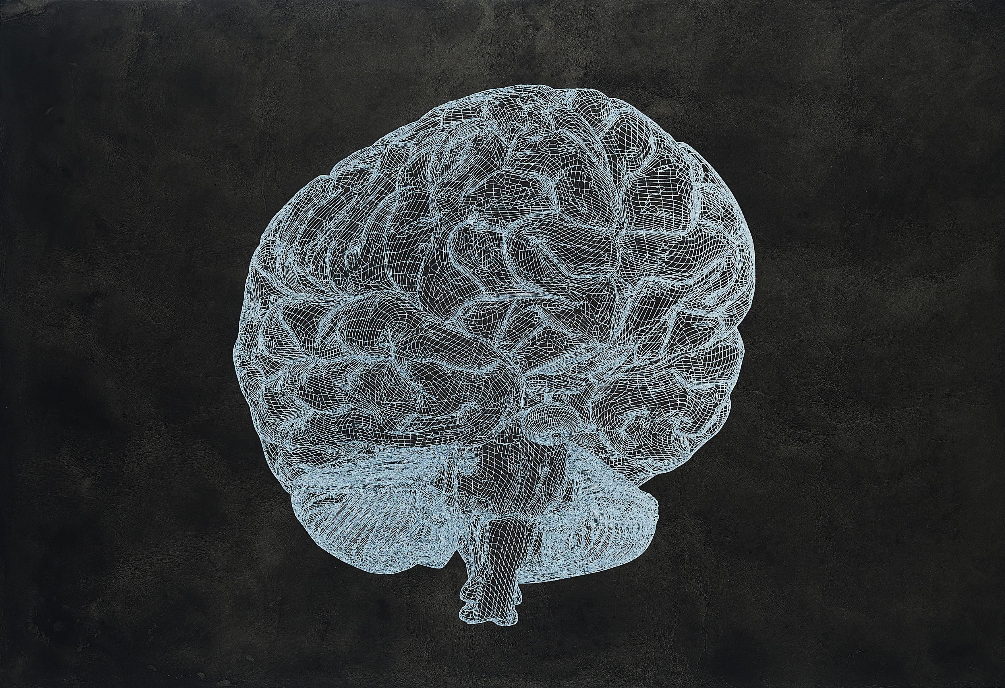 Peter Kogler - Ohne Titel.