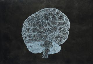 Peter Kogler - Ohne Titel.