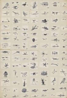 Peter Markham Scott - 119 Original Illustrations For \'Adventures Amongst Birds\', 1926