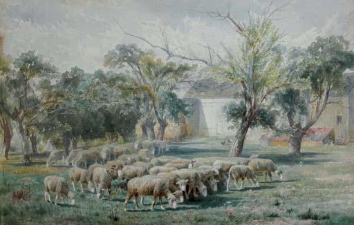 Peter Moran - Sheep grazing in a field
