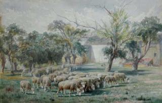 Peter Moran - Sheep grazing in a field