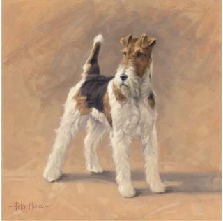 Peter Munro - A Wire-Haired Fox-Terrier