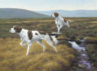 Peter Munro - Pointers on a moor