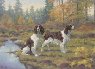 Peter Munro - Two Springer Spaniels In A Wooded Landscape