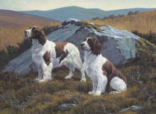 Peter Munro - Two springer spaniels on a moor