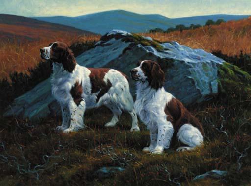 Peter Munro - Two springer spaniels on a moor