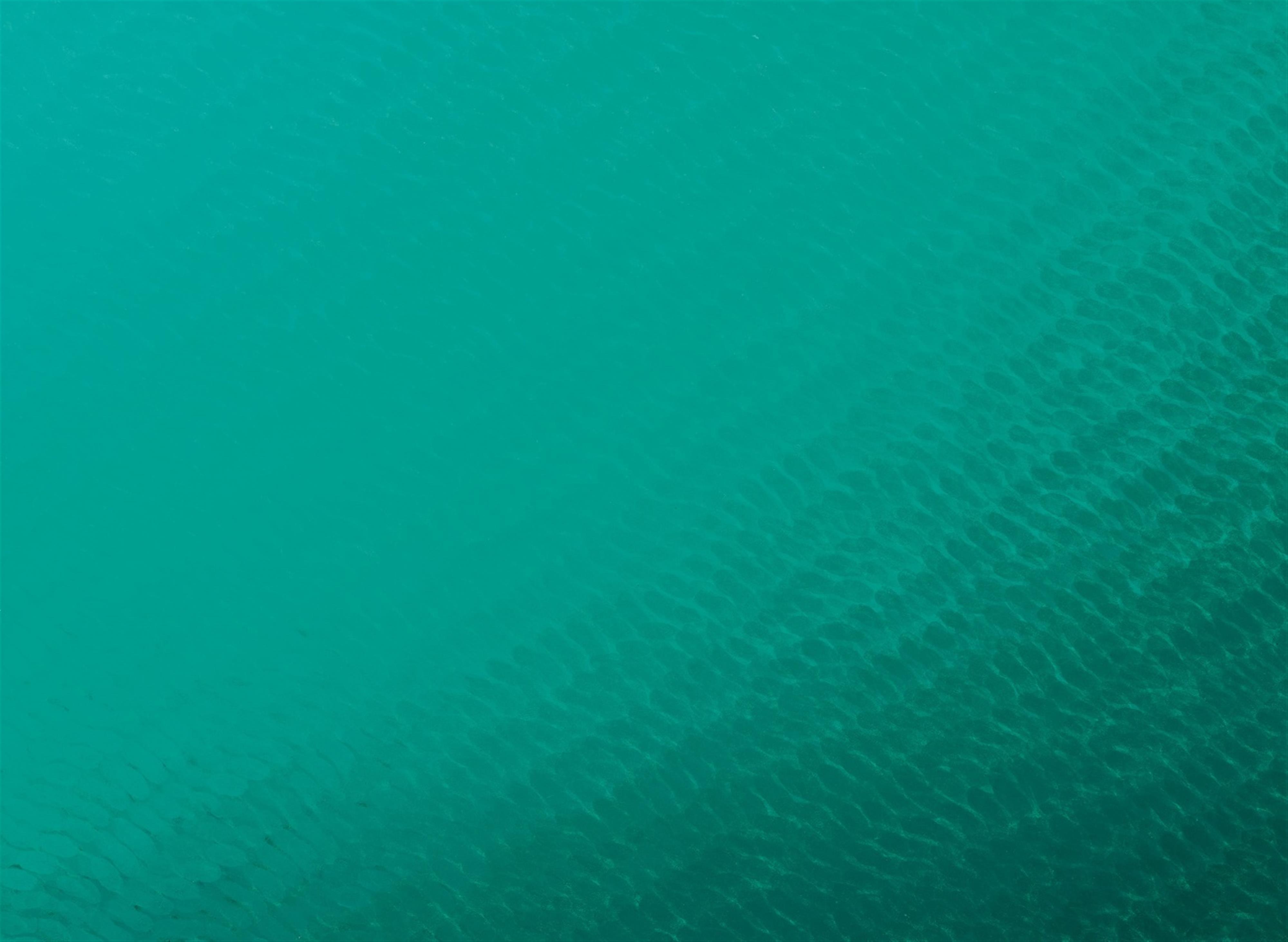 Peter Reichenberger - FA 3er System 0°-45° hellgrün-grün