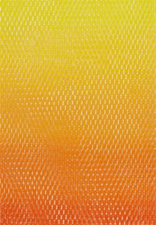 Peter Reichenberger - FA Monoprint