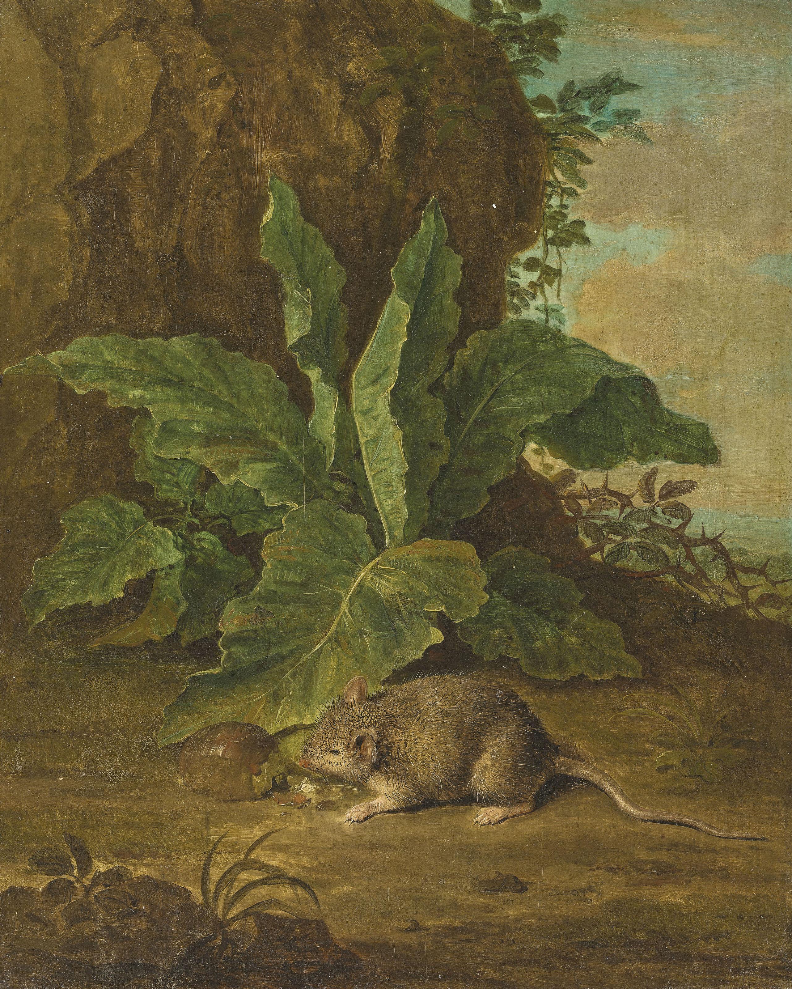 Peter Snijers - A forest floor with a mouse and a chestnut