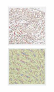 Peter Struycken - (i) TKN105 11APR91  (ii) TKN3 29NOV93