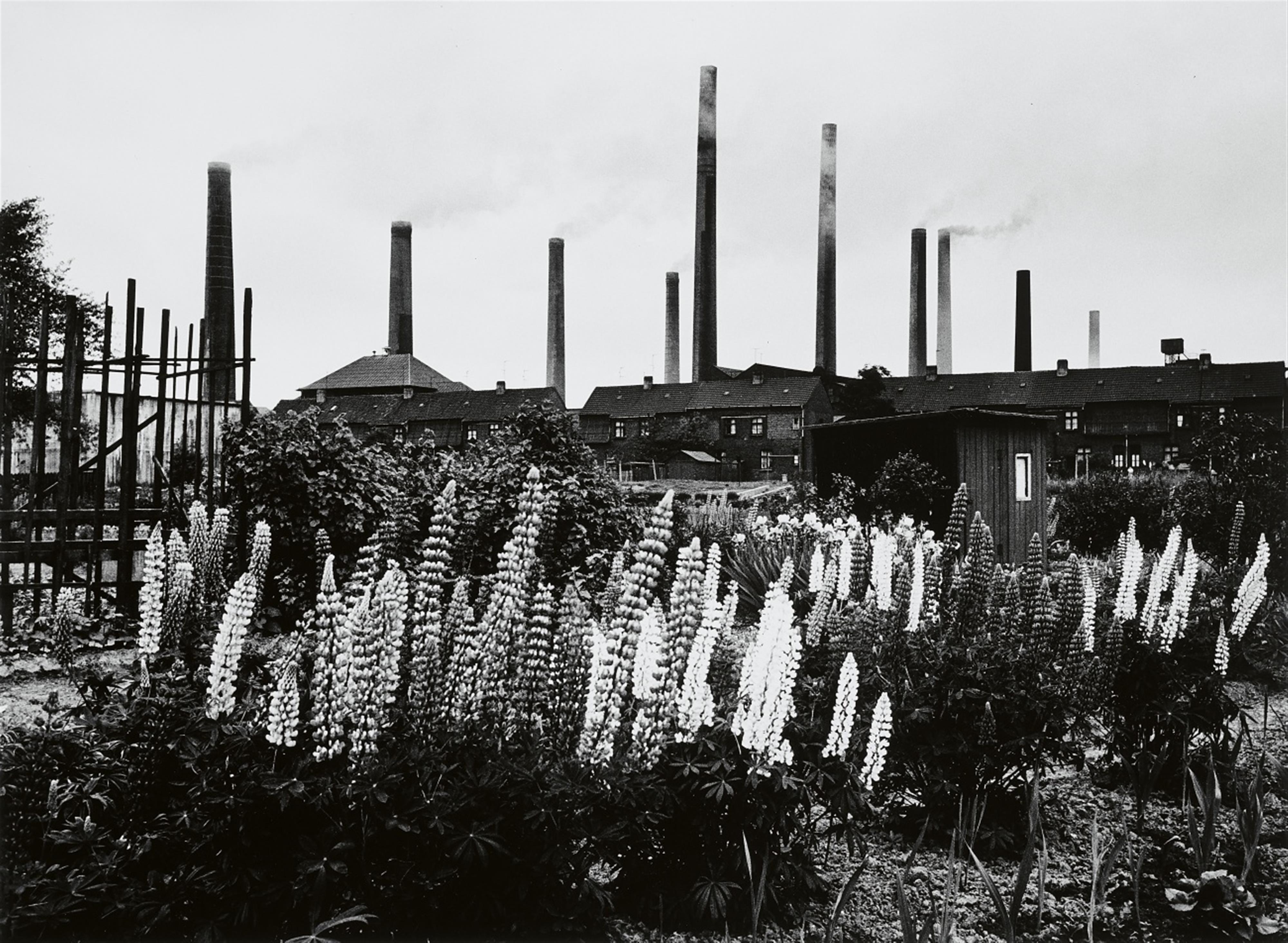 Peter Thomann - Schwarz/Weiß/Ruhr