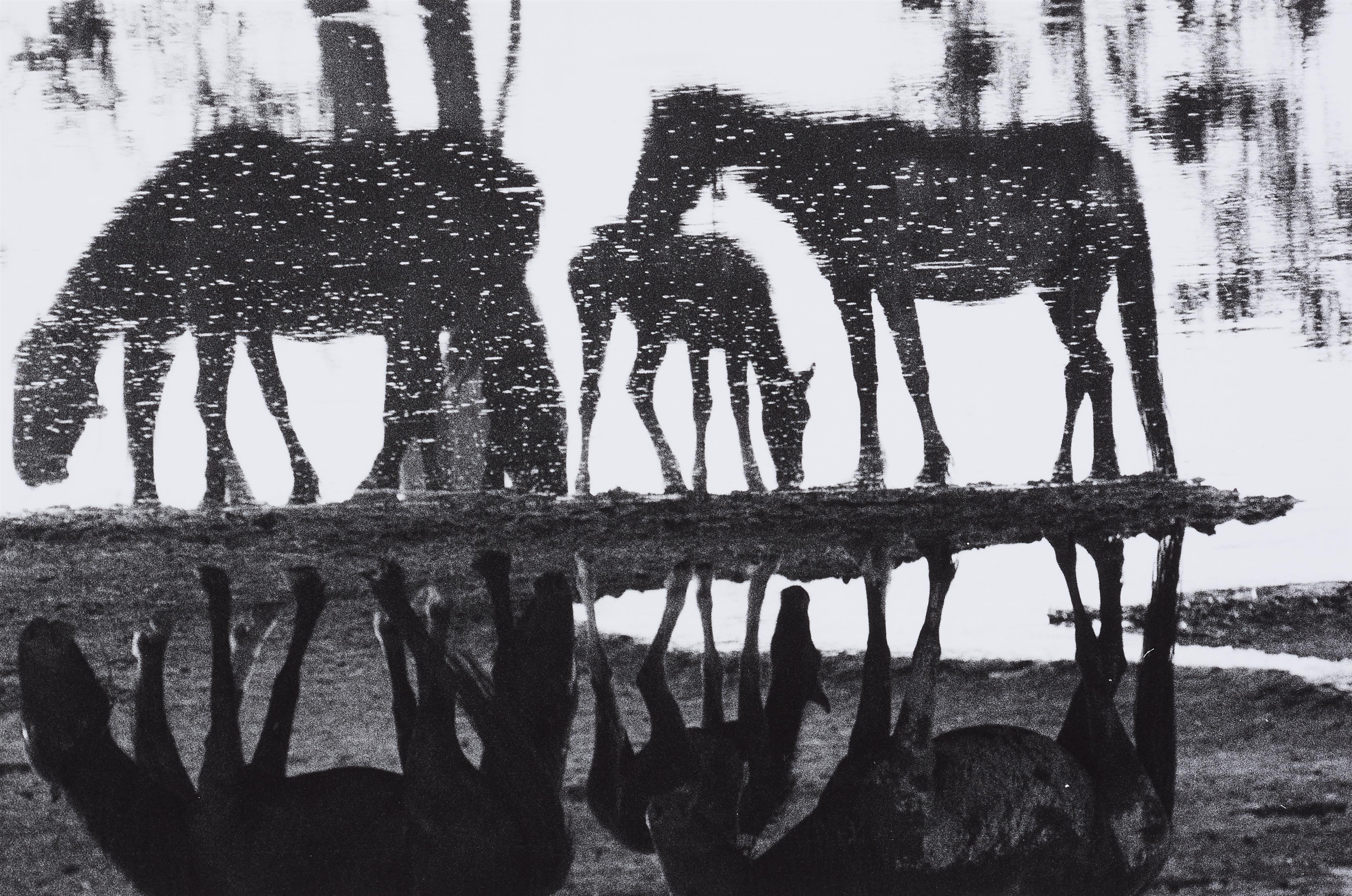 Peter Thomann - Wild Horses at the Mirror Lake, Montana