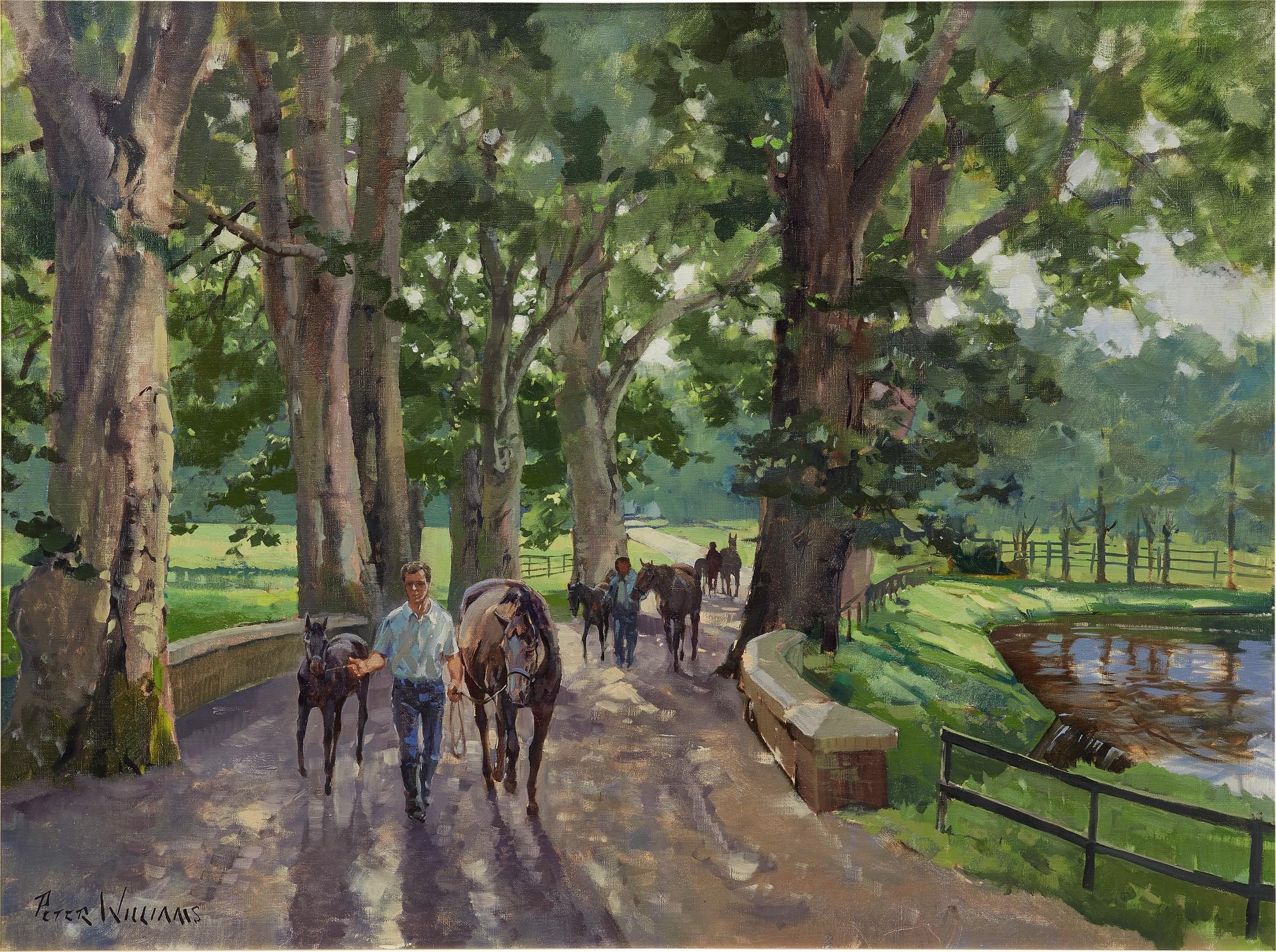 Peter Williams - Leading In The Mares & Foals At Gilltown Stud, Ireland