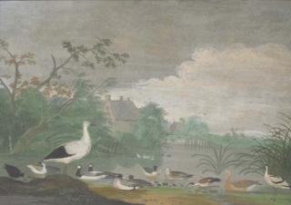 Peter Withoos - Geese, ducks and other birds on a pond with houses in the distance