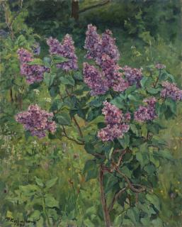Petr Petrovich Konchalovsky - Lilac Bush