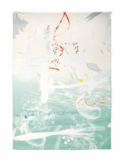 Petra Cortright - 20 jokecenter \