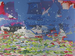 Petra Cortright - Programmes Piratès