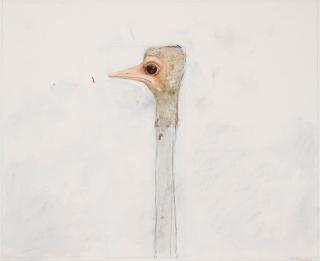 PG Thelander - ”Struts”.