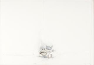 PG Thelander - Turtle