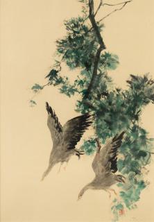 Pham Thuc Chuong - Flying birds