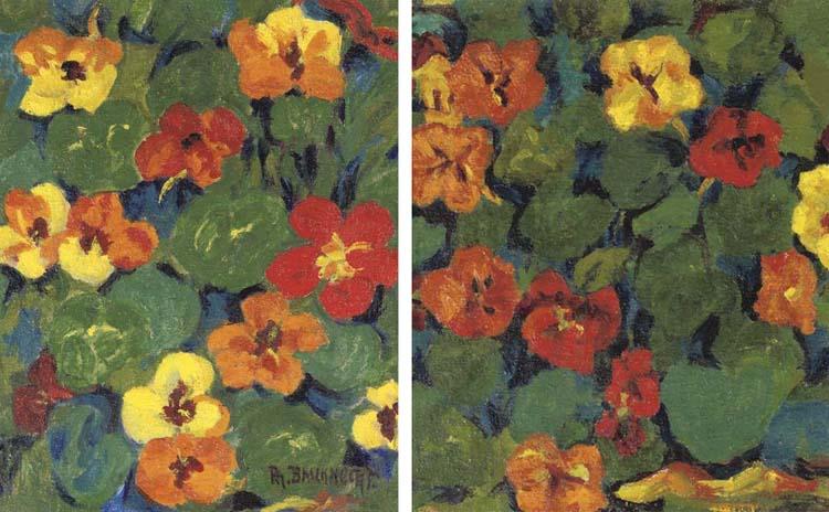 Philip Bauknecht - Indian Cress - a diptych